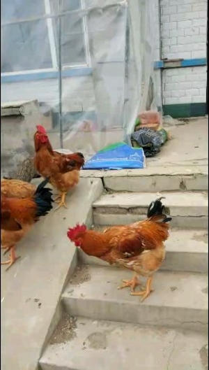 私有相册一